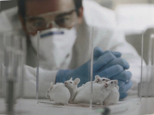 凈化車(chē)間裝修醫院凈化工程資質(zhì)怎么申請？